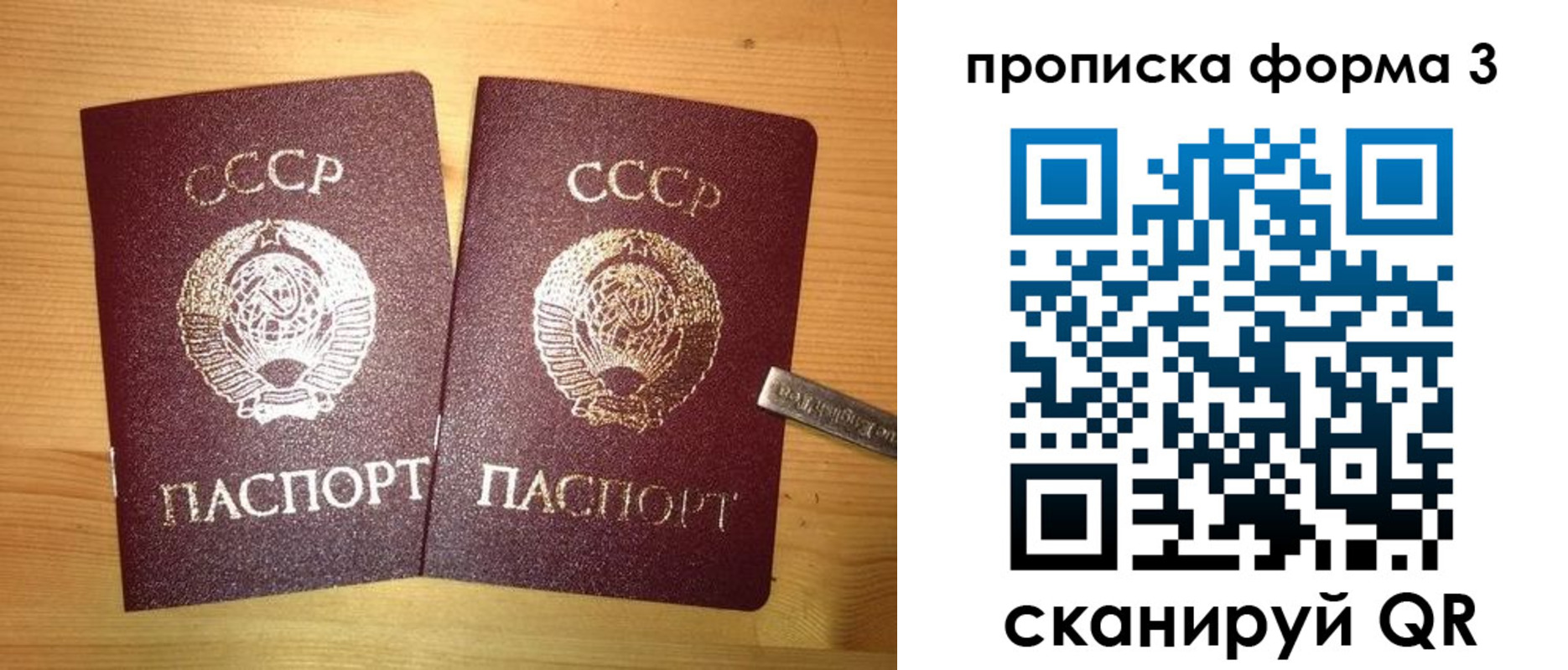 прописка иностранных граждан в Ельне