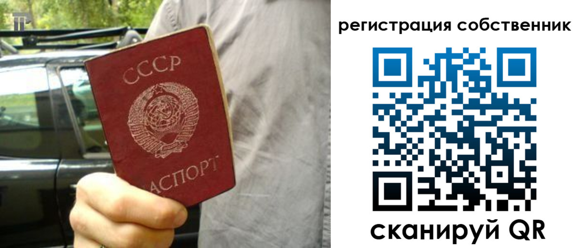 прописка 2025 в Ельне